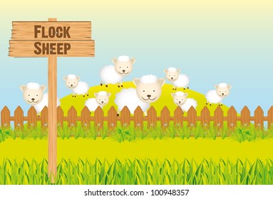animals on nature