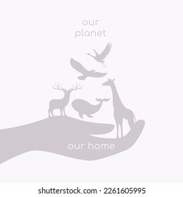 animals on the palm of hand