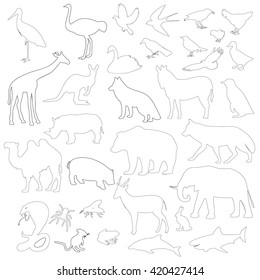 animals on a white background,vector illustration