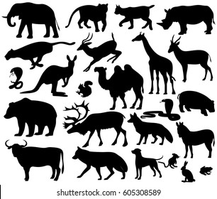 animals on a white background,vector illustration