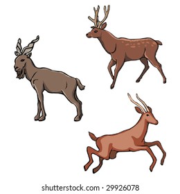 Animals Pack Isolated Part 1