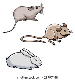 Animals Pack Isolated part 3