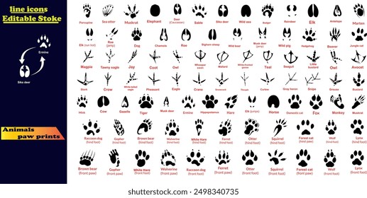 Animals paw prints. Cartoon mammal footprints, black bird foot. Wild animal feet silhouette. 