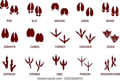 Animals paw prints. Cartoon mammal footprints, black bird foot. Wild animal feet silhouette. Foot paws track tiger, cat and dog trace. Pets trails.