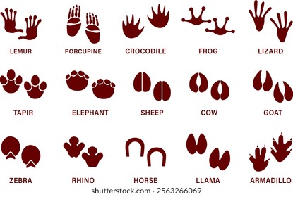 Animals paw prints. Cartoon mammal footprints, black bird foot. Wild animal feet silhouette. Foot paws track tiger, cat and dog trace. Pets trails.