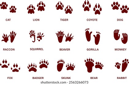 Animals paw prints. Cartoon mammal footprints, black bird foot. Wild animal feet silhouette. Foot paws track tiger, cat and dog trace. Pets trails.