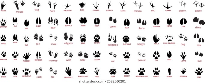 Animals paw prints. Cartoon mammal footprints, black bird foot. Wild animal feet silhouette.