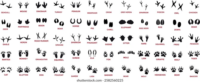 Animals paw prints. Cartoon mammal footprints, black bird foot. Wild animal feet silhouette.