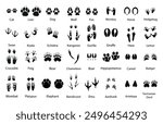 Animals paw prints. Pets trails. Vector set. Black traces of mammals and birds. Wild animal feet silhouette. Foot paws track tiger, cat , dog etc.  