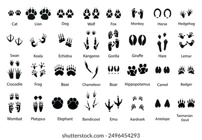 Animals paw prints. Pets trails. Vector set. Black traces of mammals and birds. Wild animal feet silhouette. Foot paws track tiger, cat , dog etc.  