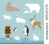 Animals and people living in the Arctic