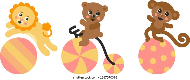 Animals perform in a circus