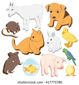 Animals pets vector colorful icons set. Illustrations of various domestic - dog, cat, parrot, fish, pig, bunny and other