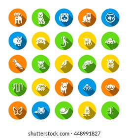 Animals pets vector flat silhouettes round icons set. Colorful pictograms of various small domestic mammals, rodents, amphibian, insects, birds, reptiles, which people own at home. Petting zoo symbols