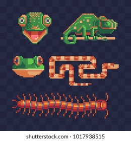 Animals pixel art style icon set. 8-bit sprite. Chameleon lizard sitting on a branch. Cartoon head, centipede and snake isolated vector illustration. Design for stickers, logo, embroidery, mobile app.