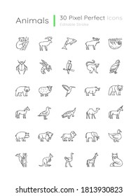 Animals pixel perfect linear icons set. Different wildlife, diverse fauna customizable thin line contour symbols. Flying, land and sea creatures. Isolated vector outline illustrations. Editable stroke