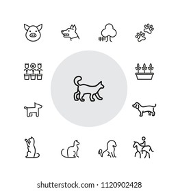 Animals and plant icons. Set of  line icons. Dog, cat, tree. Nature concept. Vector illustration can be used for topics like gardening, farm, zoo.