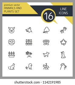 Animals and plant icons. Set of line icons. Dog, cat, tree. Nature concept. Vector illustration can be used for topics like gardening, farm, zoo.