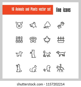 Animals and plant icons. Set of line icons. Dog, cat, tree. Nature concept. Vector illustration can be used for topics like gardening, farm, zoo.