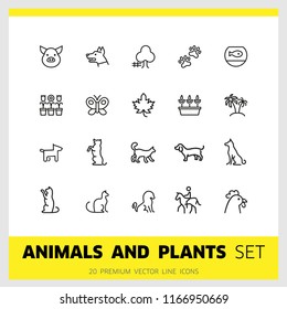 Animals and plant icons. Set of line icons. Dog, cat, tree. Nature concept. Vector illustration can be used for topics like gardening, farm, zoo.