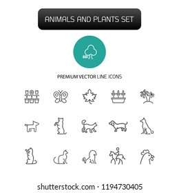 Animals and plant icons. Set of line icons. Dog, cat, tree. Nature concept. Vector illustration can be used for topics like gardening, farm, zoo.