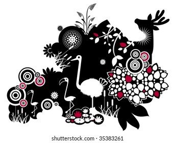 animals and plants