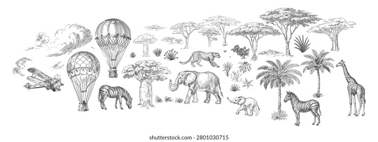 animals and plants of the savannah, vector illustration, set