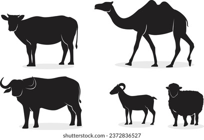 Animales Silhouette Qurban Camel Cow Oveja