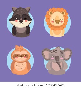 animals raccoon lion elephant sloth