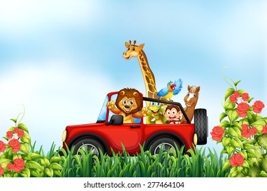 Animals riding a car in the park