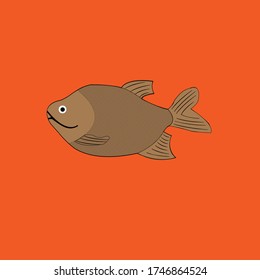 animals river fish cachama fish farmed fish freshwater fish ilustration vertebrate vector