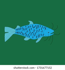 Süßwasserfisch-Seehecht-Seehecht