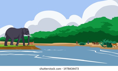 Animals roam in the jungle on both sides of the river - illustration