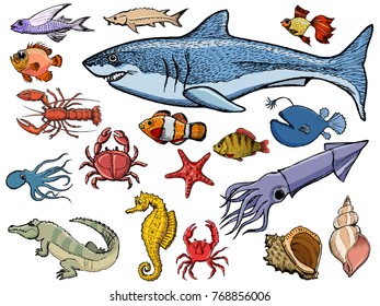 animals from sea, motive of underwater life, wildlife
