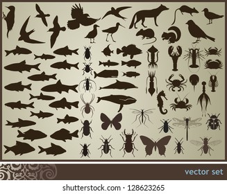 Animals set