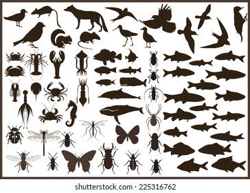 Animals set