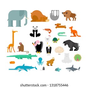 Animals set. Beast collection. cute cartoon animal. jungle and forest Wild nature. Fauna of Different Continents
