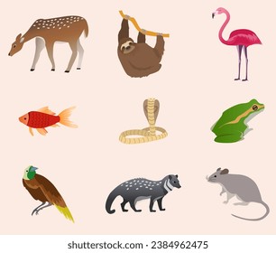 animals set collection vector illustration, all animals in different sector, amphibia, reptile, mammal, aves animals svg