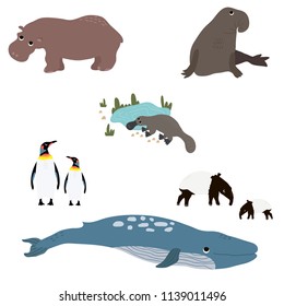 Animals set in flat style. Whale, penguin, hippopotamus, platypus, sea elephant, tapir, isolated on white. Vector Illustration