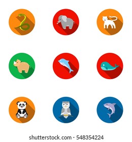 Animals set icons in flat style. Big collection of animals vector symbol stock illustration