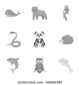 Animals set icons in monochrome style. Big collection of animals vector symbol stock illustration