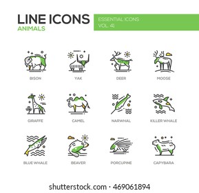 Animals - set of modern vector line design icons and pictograms of animals. Bison, yak, deer, moose, giraffe, camel, narwhal, killer whale, blue whale, beaver porcupine capybara