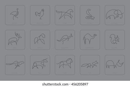 Animals set for use in advertising, presentations...
