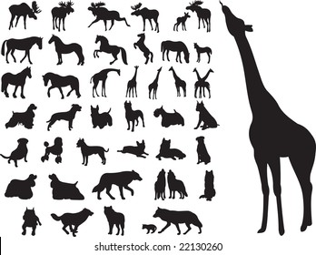 animals set vector