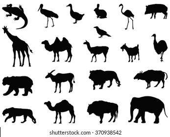 Animals Set, Wild Animal Silhouette