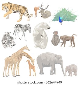 Animals. Set of wild animals. Vector illustration