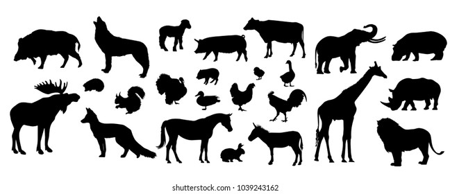 animals set of the world. vector