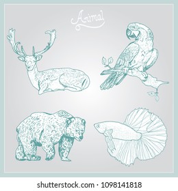 Animals set.deer,macaws,bear,siamese fighting fish.Vector illustration