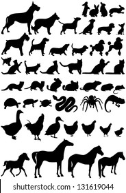 Animals shape