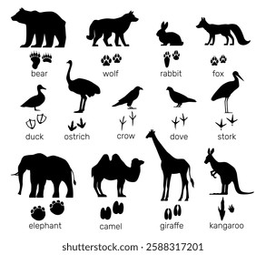 Animals shapes with footprints. Mammal and birds paw prints. Black silhouette steps tracks. Text inscriptions. Wildlife creatures. Ostrich or elephant trails. Vector zoo